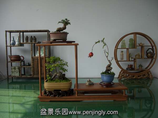 CIMG0239.JPG