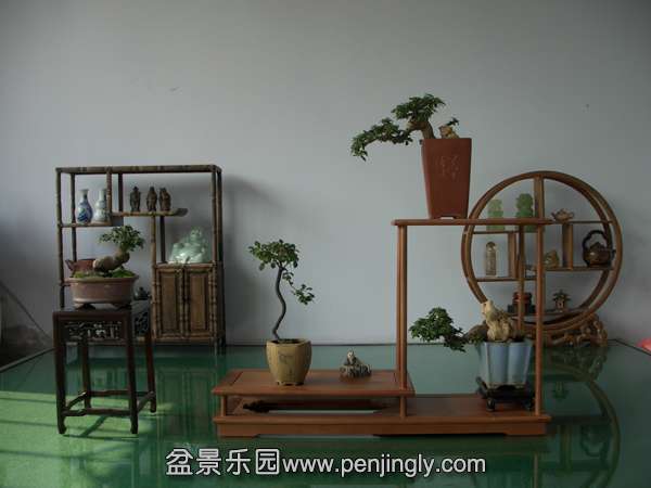 CIMG0242.JPG