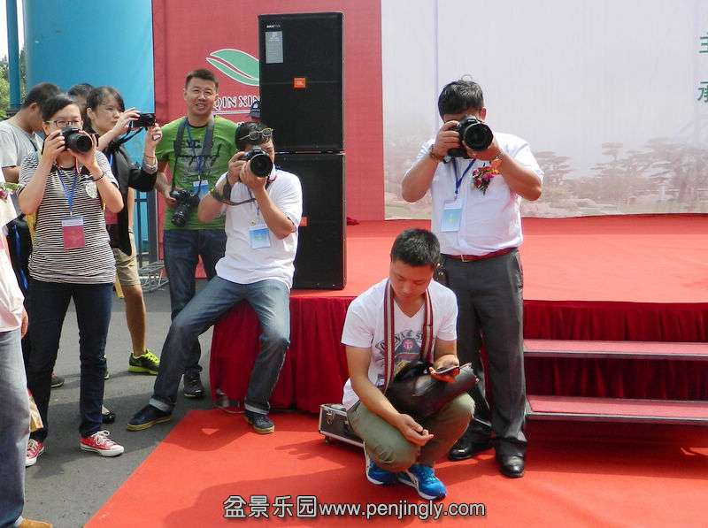 DSCN7337.jpg