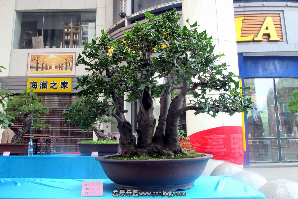 18.JPG