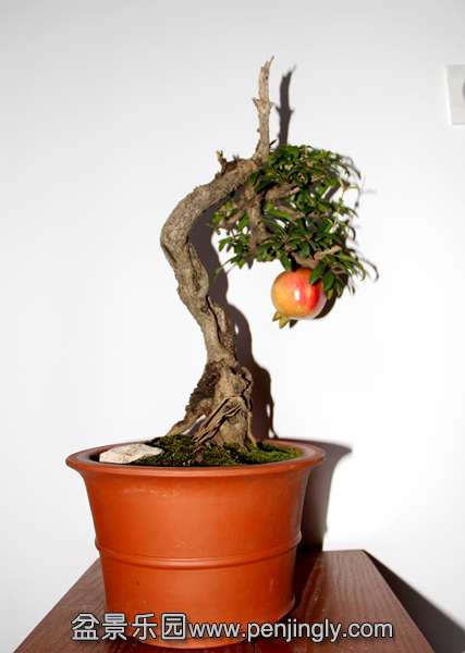 Ƭ 037.jpg