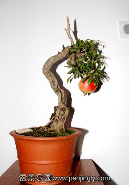 Ƭ 039.jpg