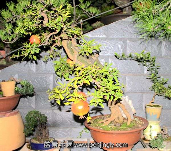 Ƭ 044.jpg