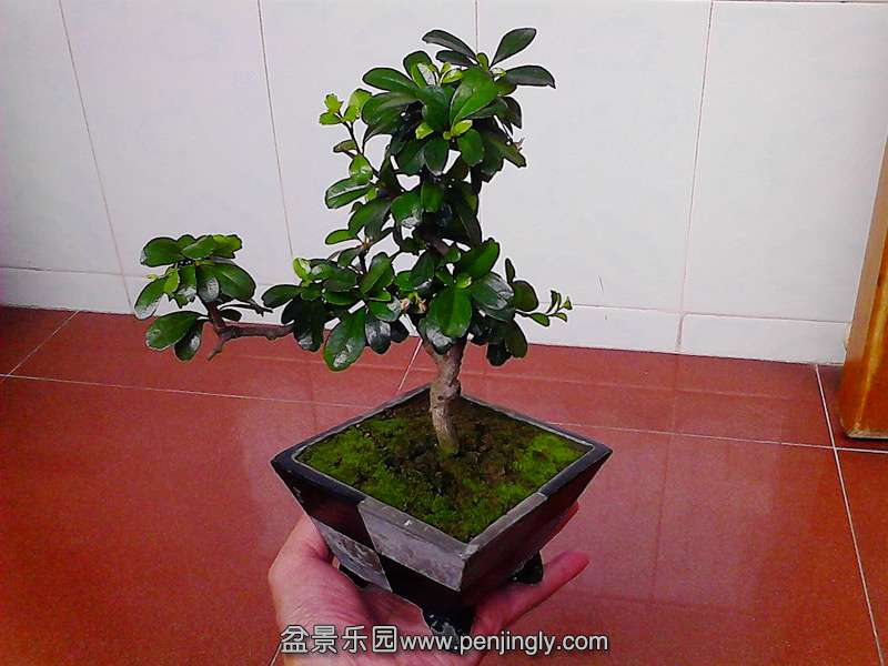 IMG_20141008_130640A1.jpg