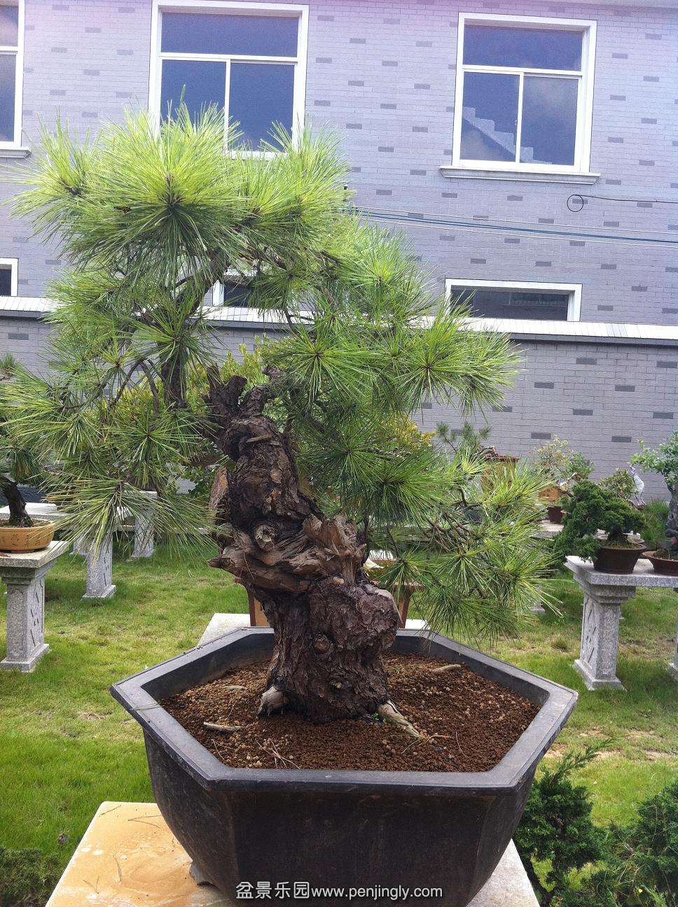 20141008ɻ 005.jpg