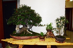 DSC_98961.jpg