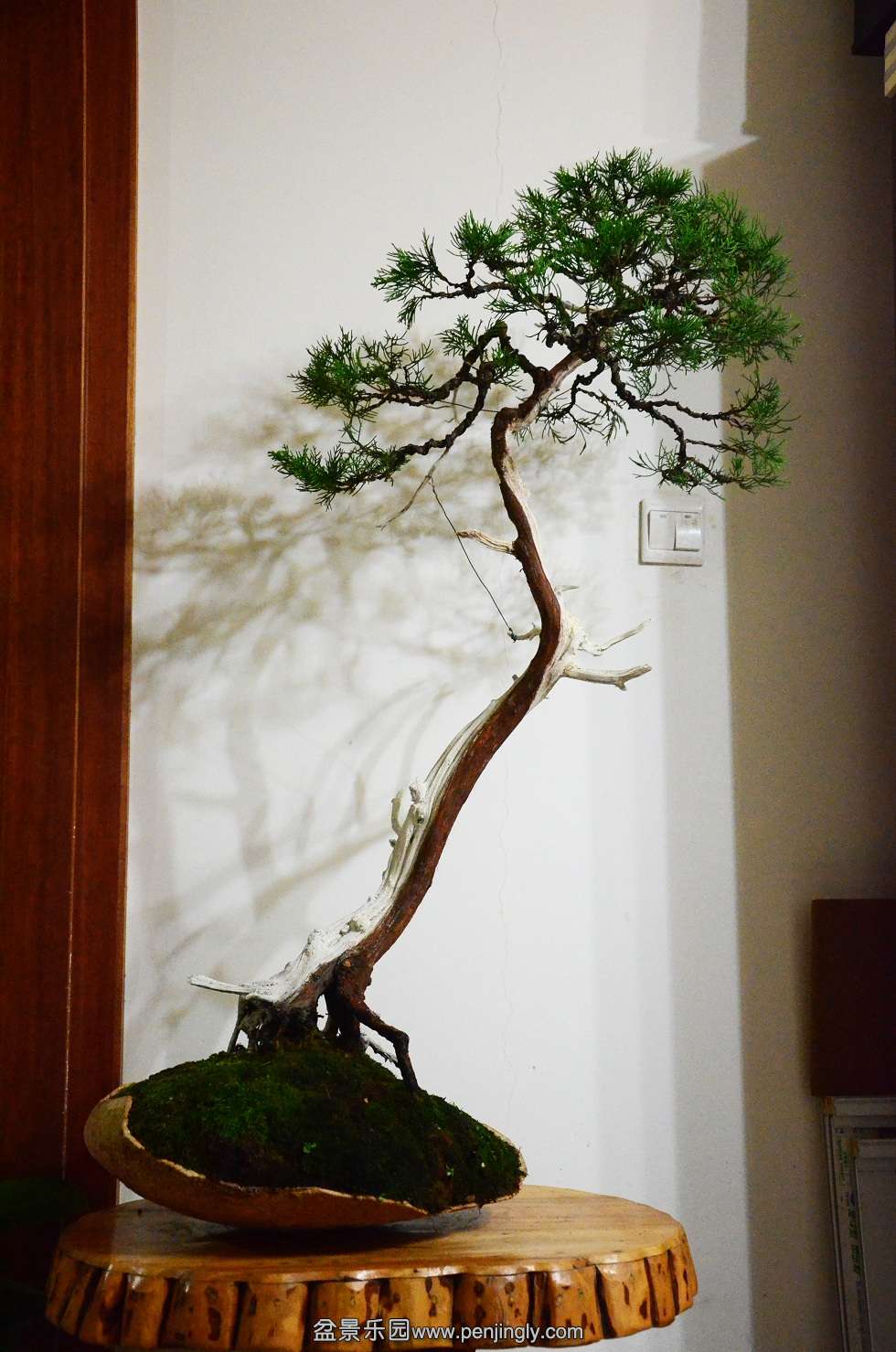 DSC_99111.jpg