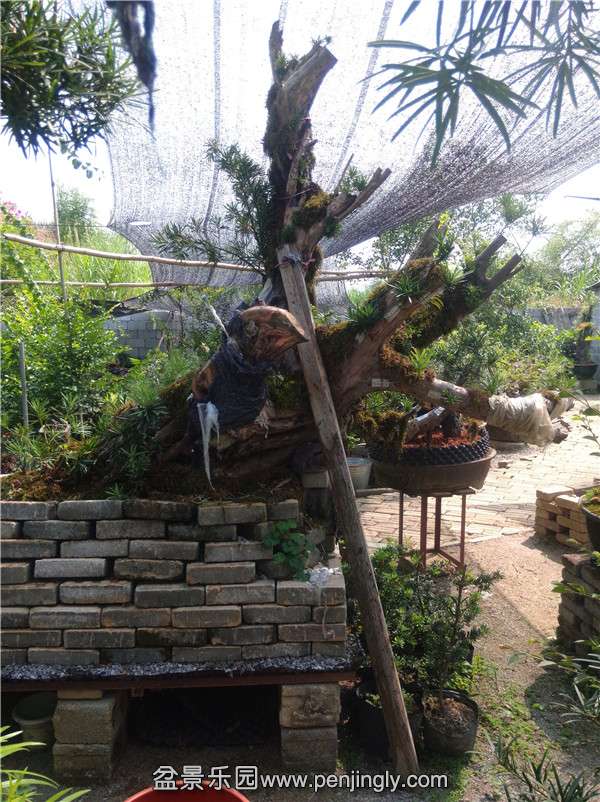 IMG20141008114321.jpg