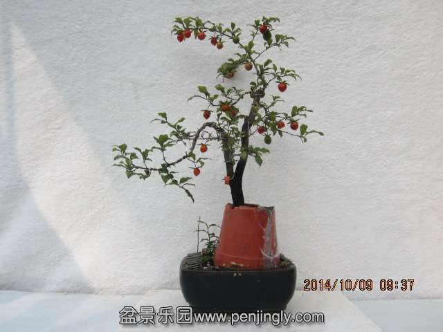 IMG_5679.JPG
