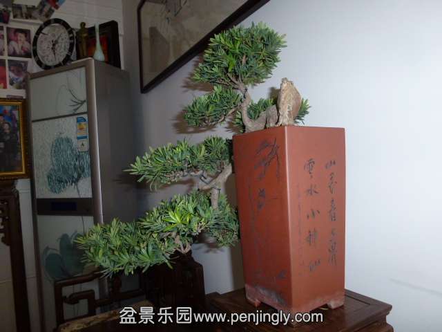 P1050857.JPG