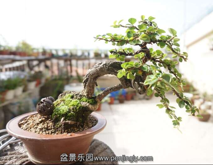 QQͼƬ20141007084005.jpg