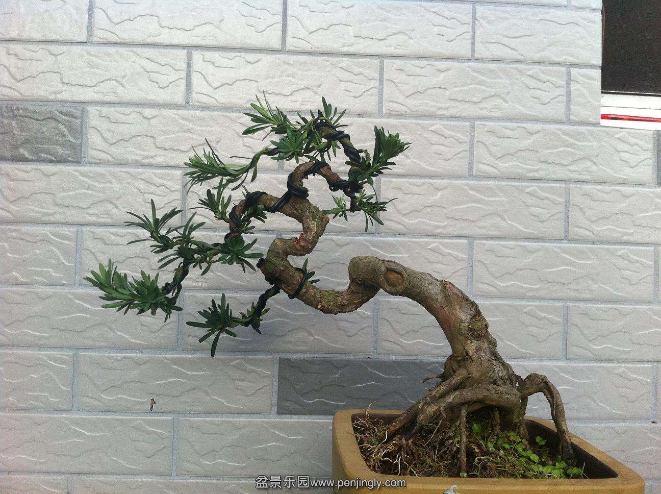 20141007������ȸ���޺� 001.jpg