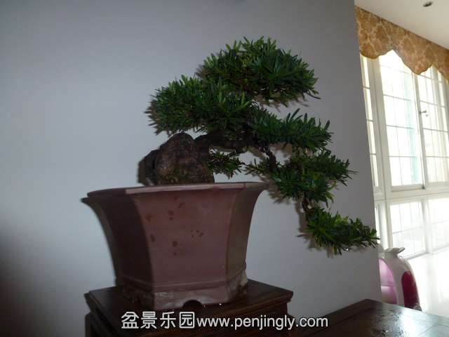 P1050861.JPG