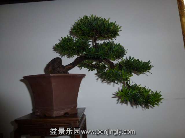P1050862.JPG