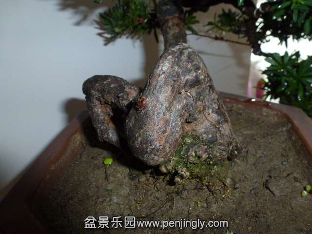 P1050863.JPG