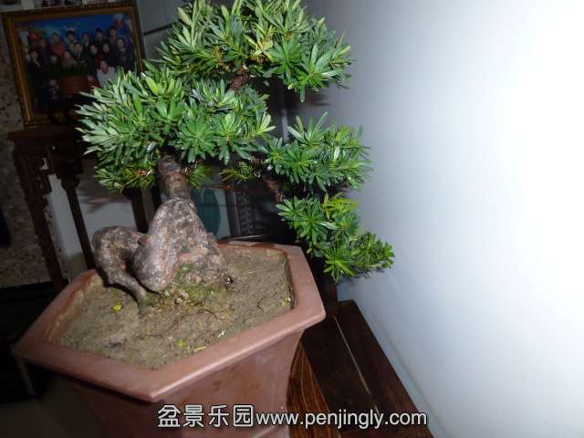 P1050866.JPG
