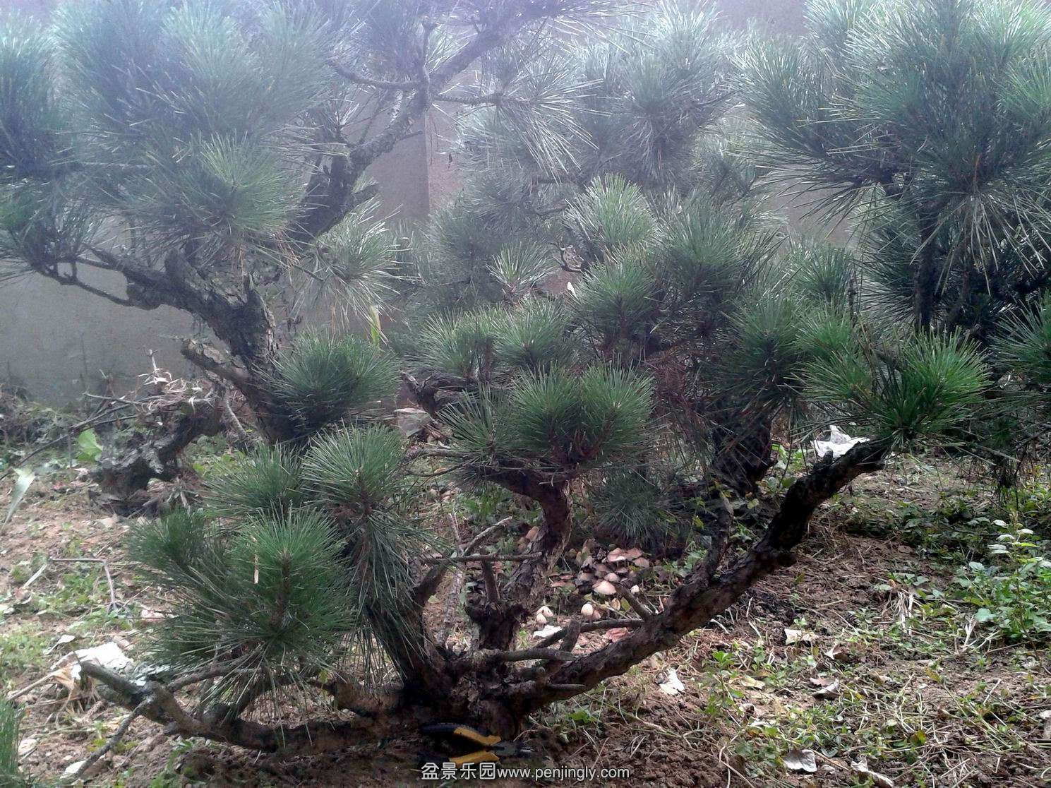 20141009_155649.jpg