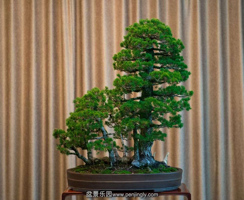 һ����������� (1).jpg