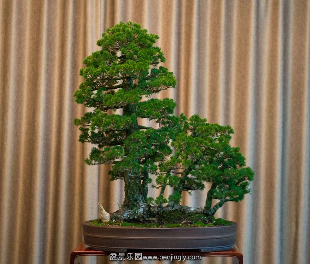 һ����������� (2).jpg