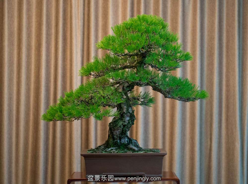 �Ϻ��� (1).jpg