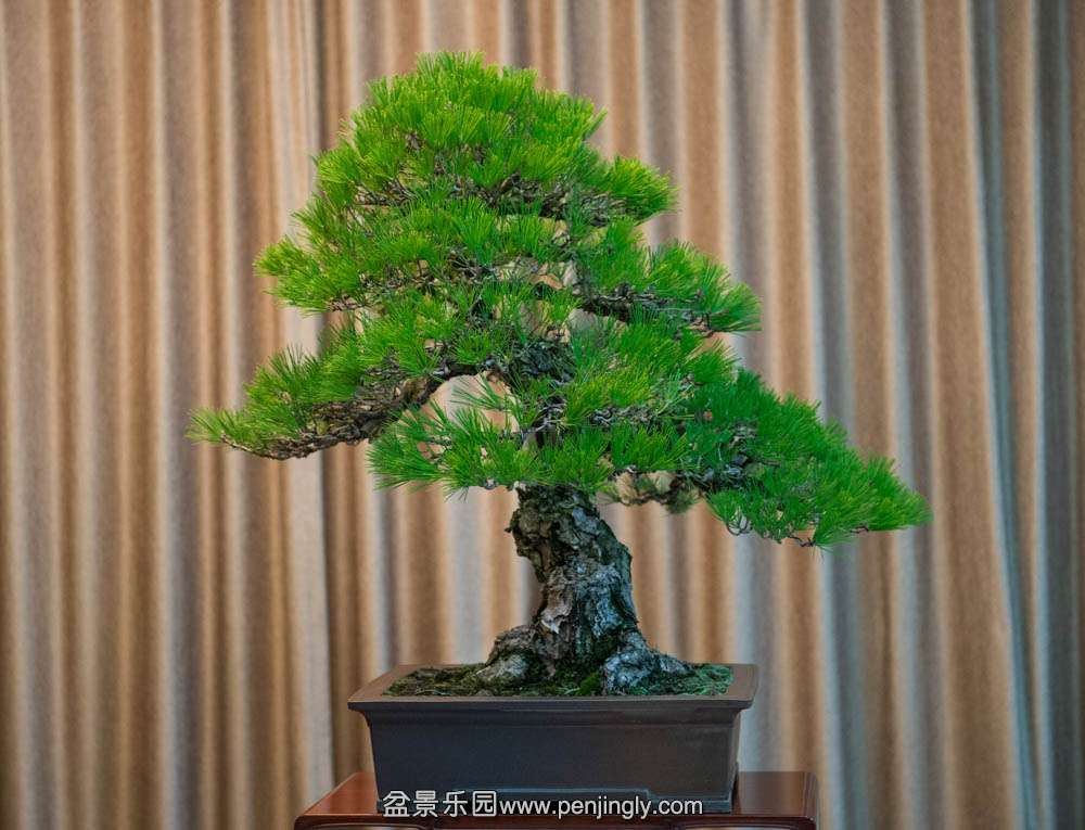 �Ϻ��� (2).jpg