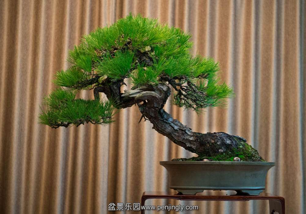 ��ˮ�Ϻ��� (2).jpg