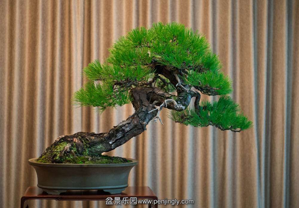 ��ˮ�Ϻ��� (1).jpg