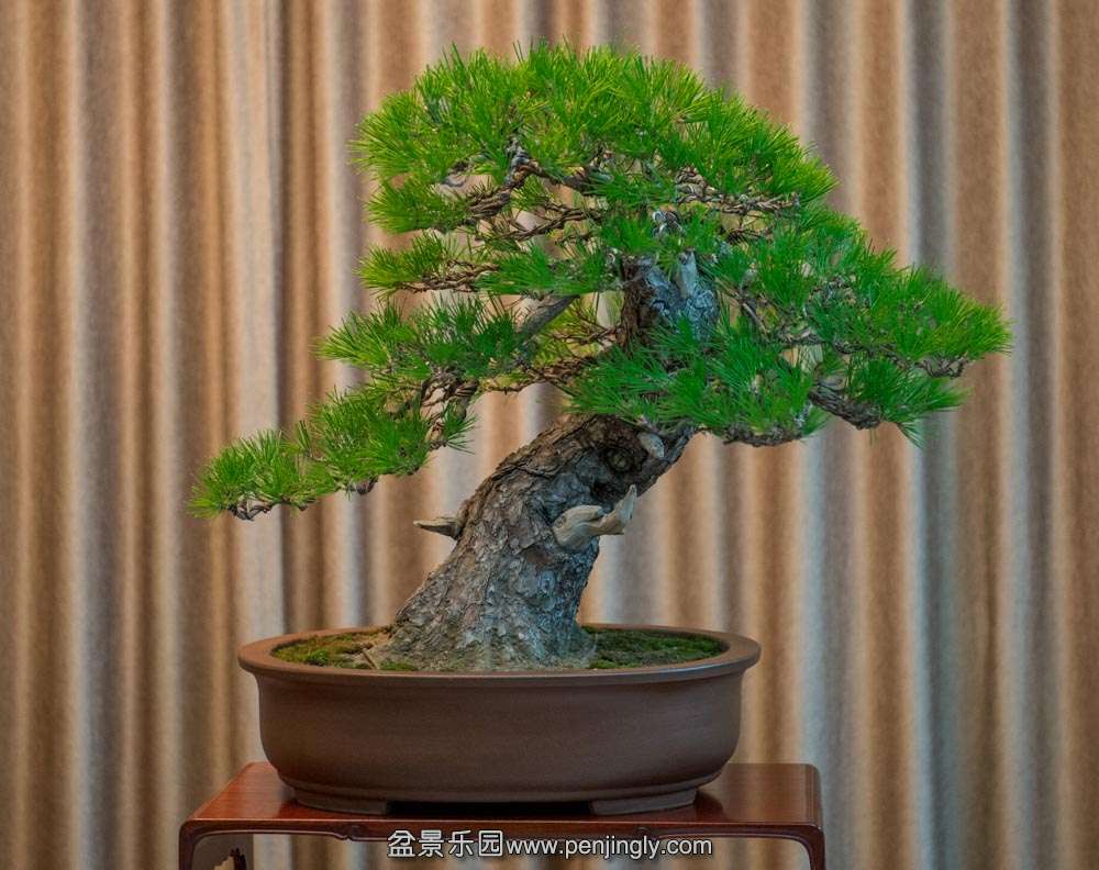 ���� (1).jpg