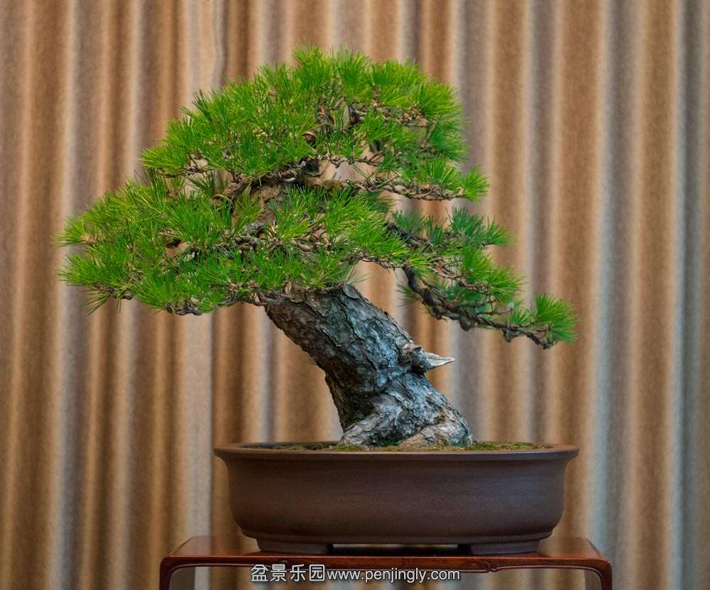 ���� (3).jpg