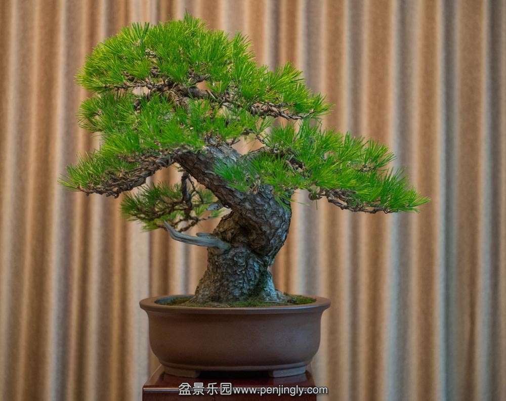 ���� (2).jpg