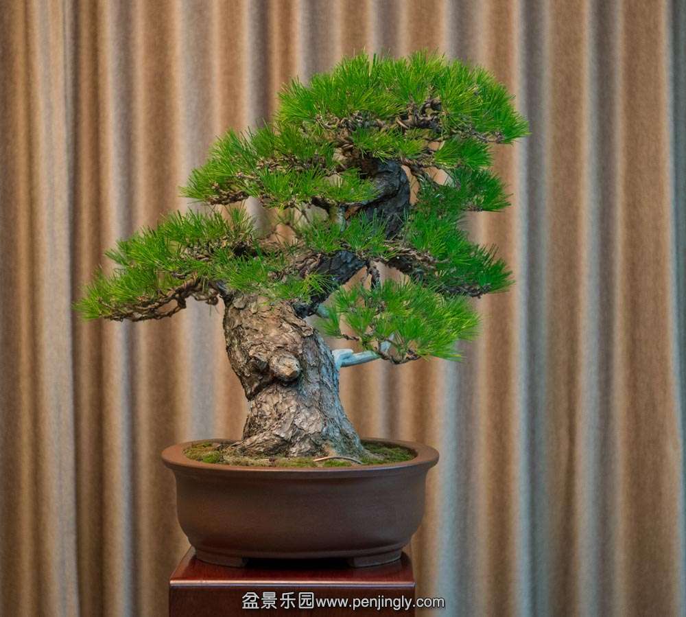 ���� (4).jpg