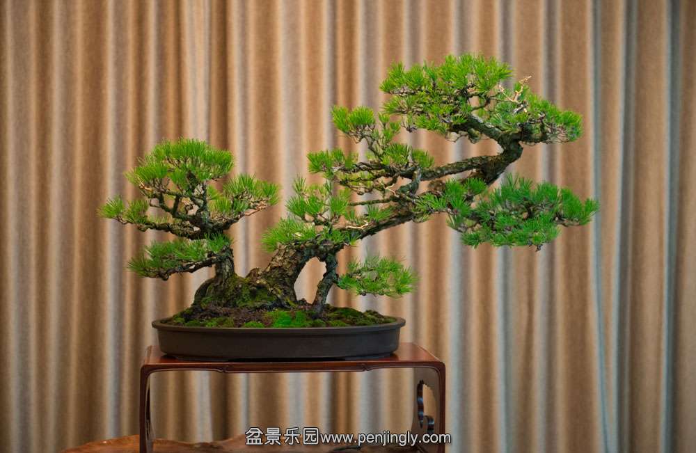 ��˺��� (1).jpg