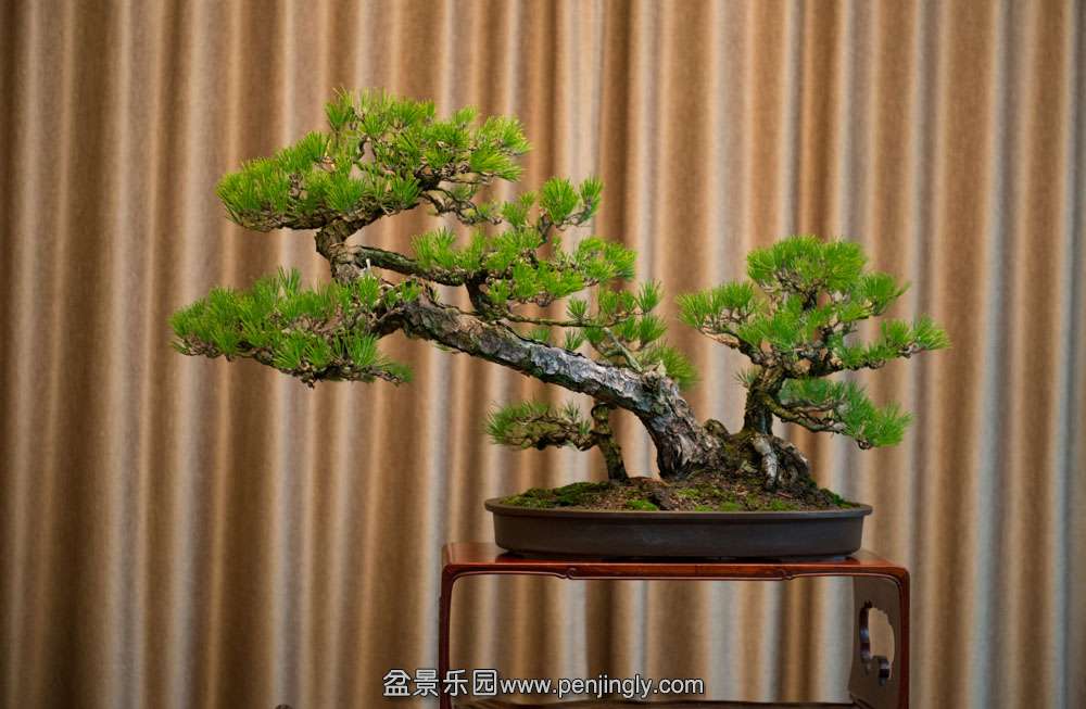 ��˺��� (2).jpg