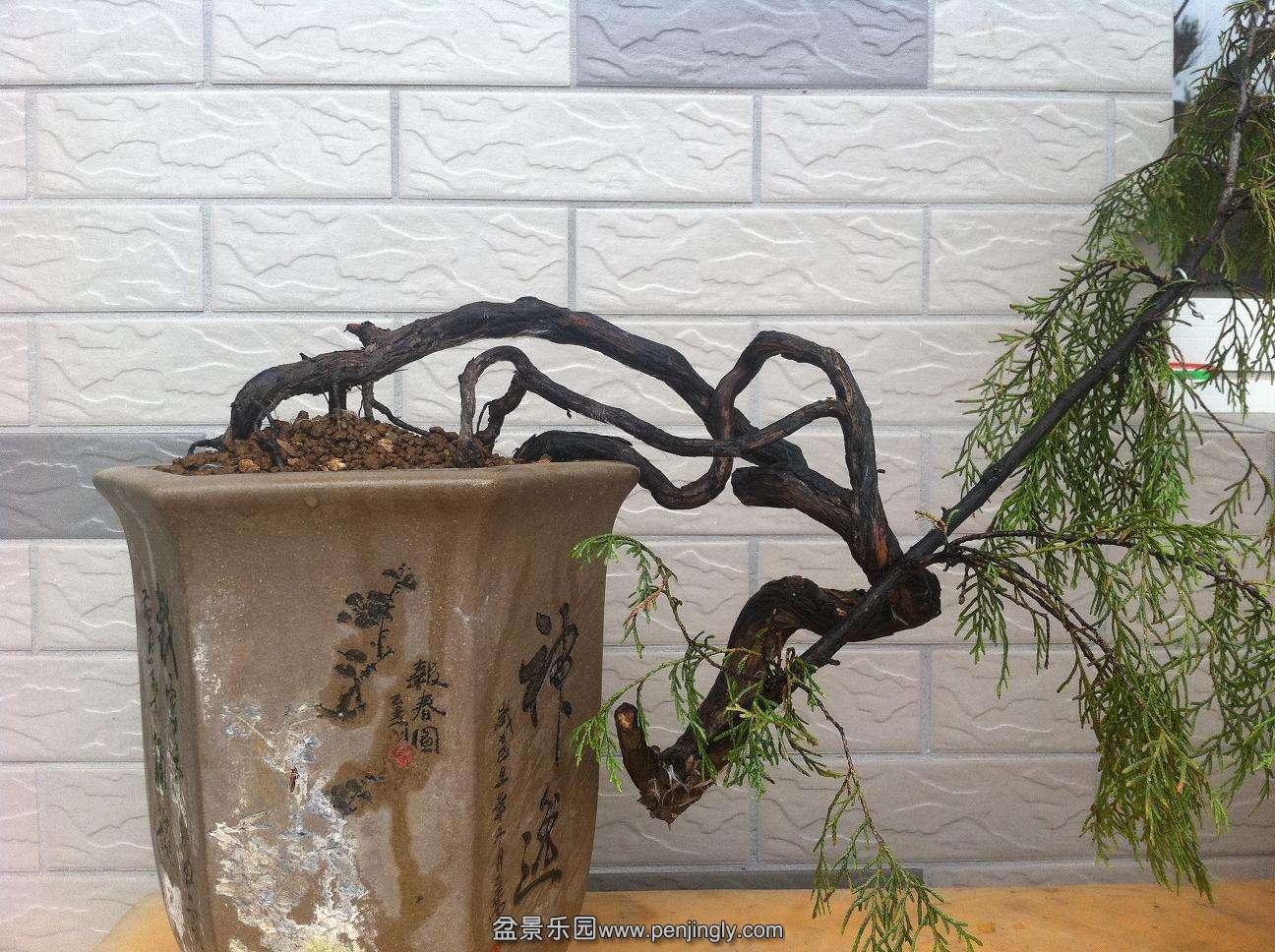 20141011���180 001.jpg