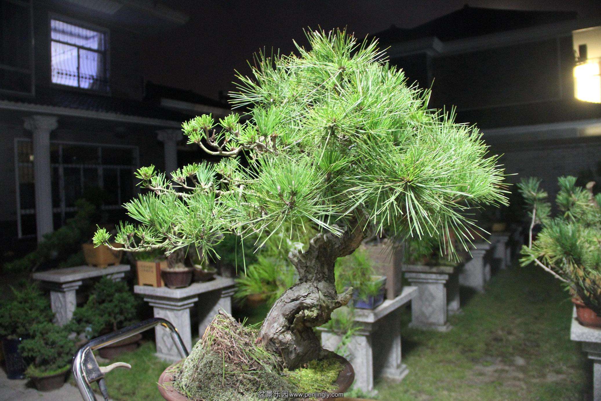 20141011�����ĳ��� 002.jpg