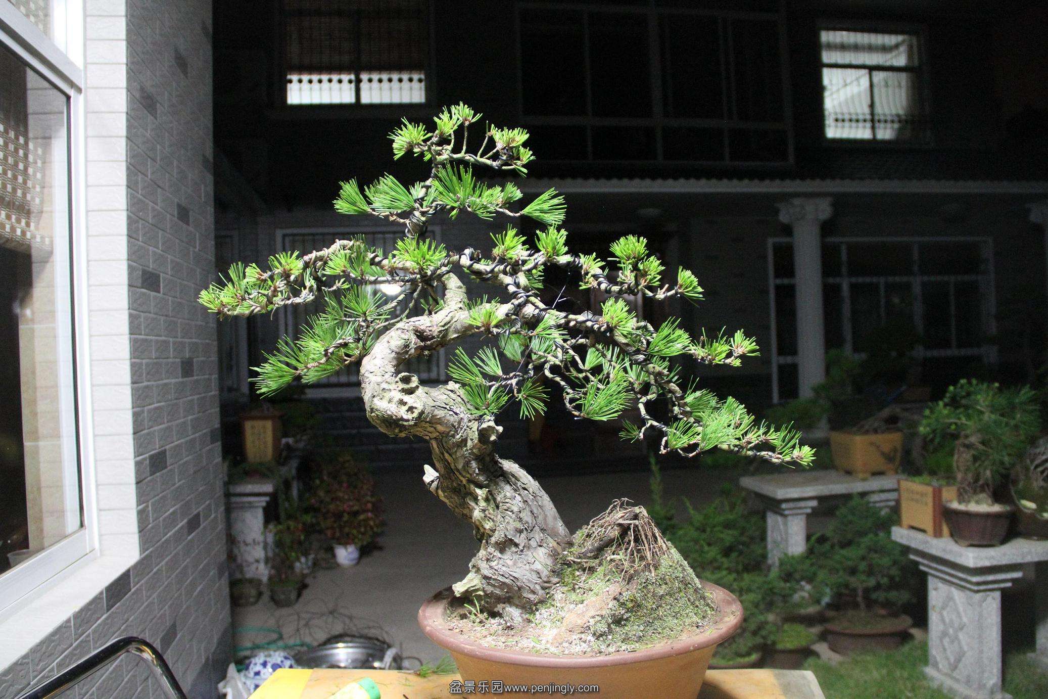 20141011�����ĳ��� 008.jpg