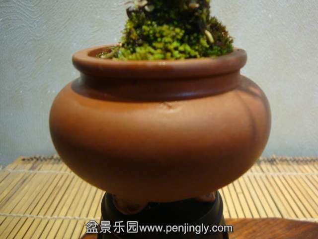 DSC09197.JPG