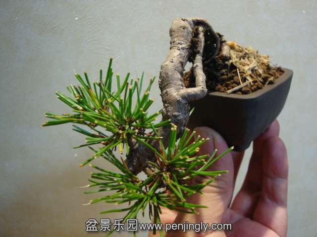 DSC09205.JPG