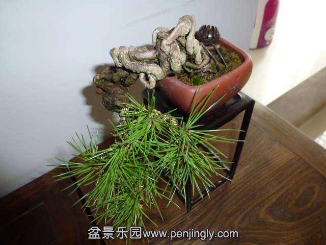 P1050880.JPG