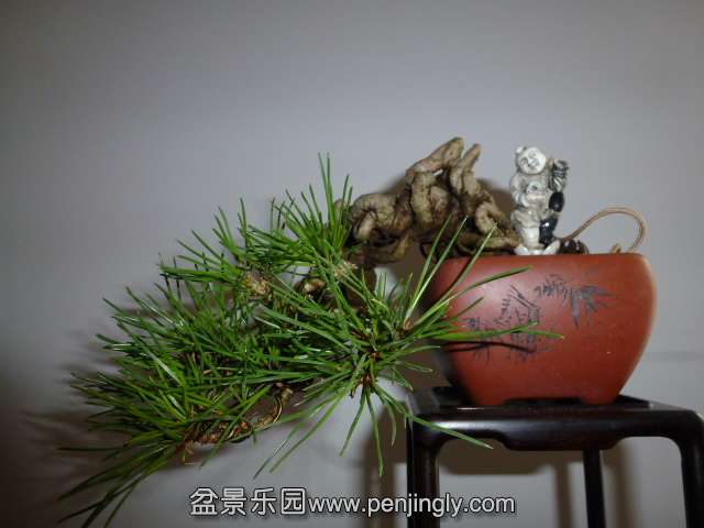 P1050886.JPG