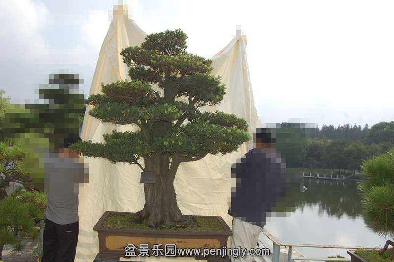 Ƭ 549_.jpg