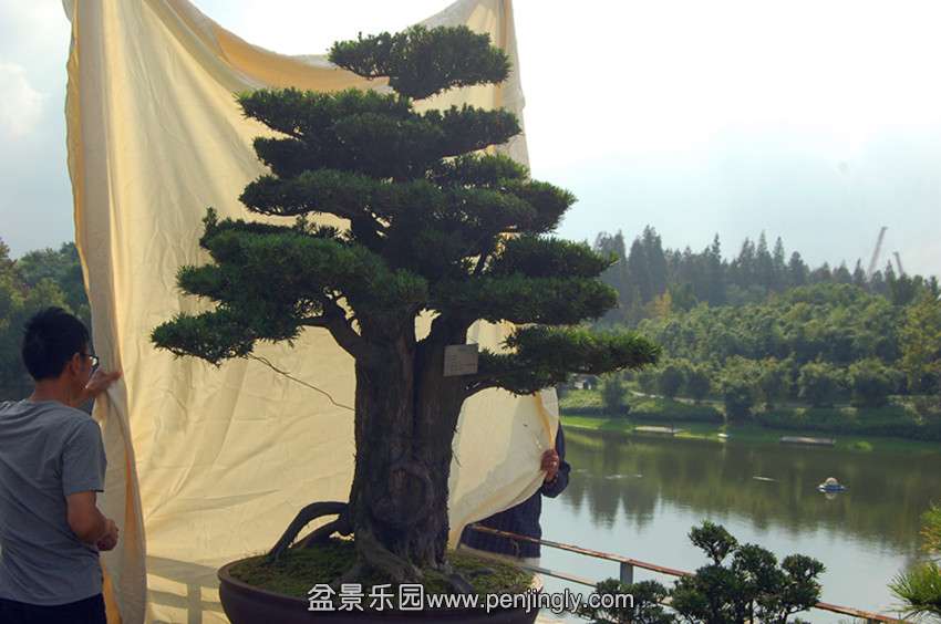 ��Ƭ 560_����.jpg