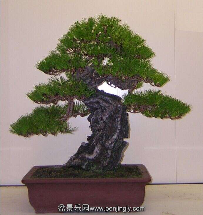 QQͼƬ20141015170523.jpg