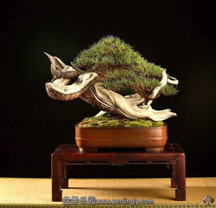 QQͼƬ20141015170534.jpg