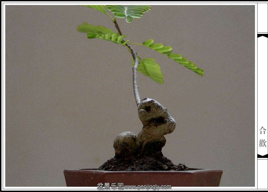 a6.JPG