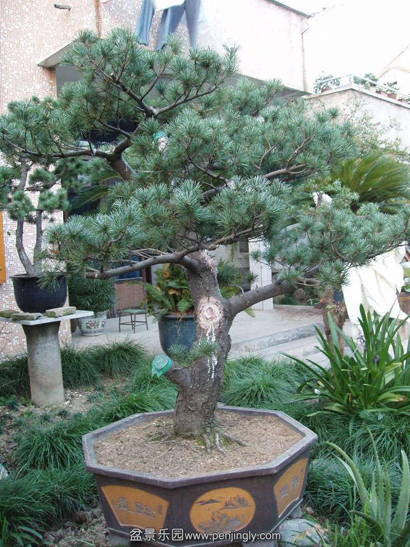 02.jpg