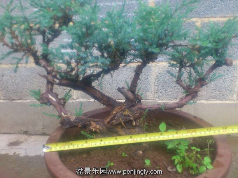 QQͼƬ20140919191454.jpg