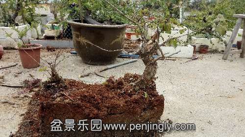 IMG_20141016_111917.jpg