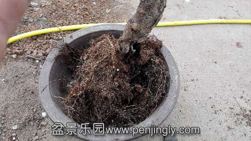 IMG_20141016_113107.jpg