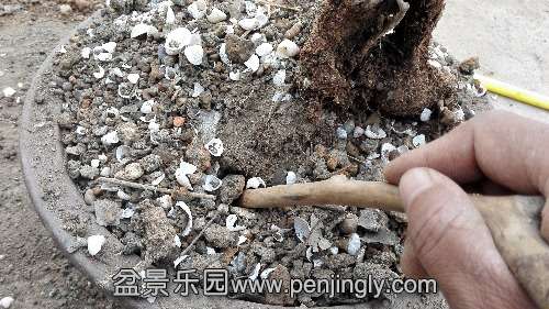 IMG_20141016_113353.jpg